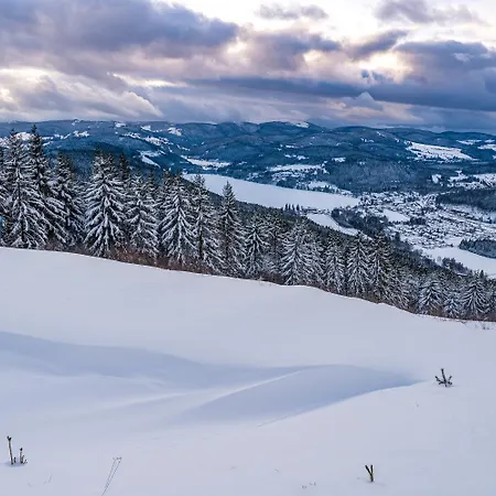 Im Haus Rhea Am Suedhang- Feldberg- Apartament *