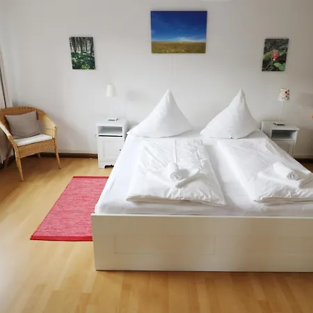 Im Haus Rhea Am Suedhang- Feldberg- Apartment Falkau