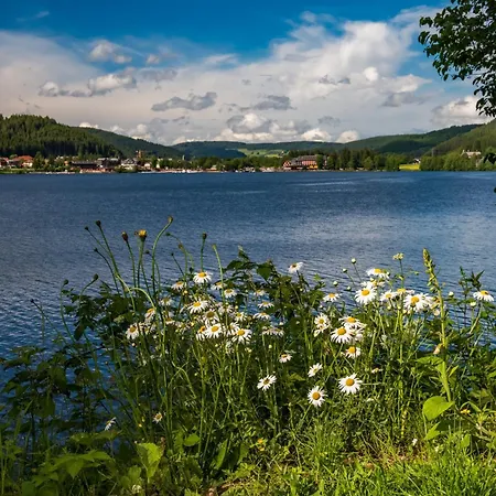 דירה Im Haus Rhea Am Suedhang- Feldberg- Falkau