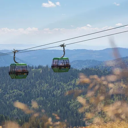 Im Haus Rhea Am Suedhang- Feldberg- * Falkau