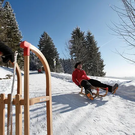 Im Haus Rhea Am Suedhang- Feldberg-