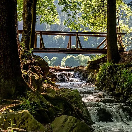 Im Haus Rhea Am Suedhang- Feldberg- Apartament *