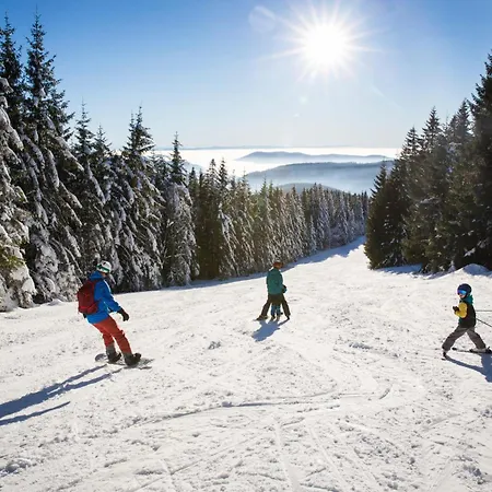 Apartament Im Haus Rhea Am Suedhang- Feldberg- Feldberg (Baden-Wurttemberg)