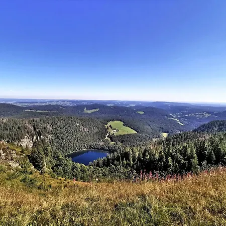 Apartment Im Haus Rhea Am Suedhang- Feldberg- *