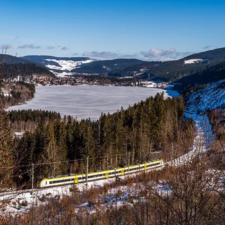 Im Haus Rhea Am Suedhang- Feldberg- Apartament *