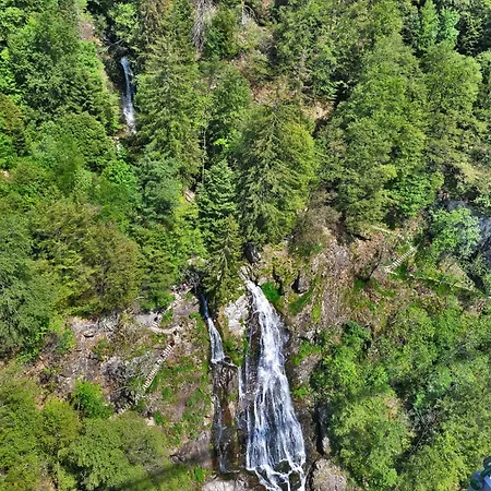 Im Haus Rhea Am Suedhang- Feldberg- דירה