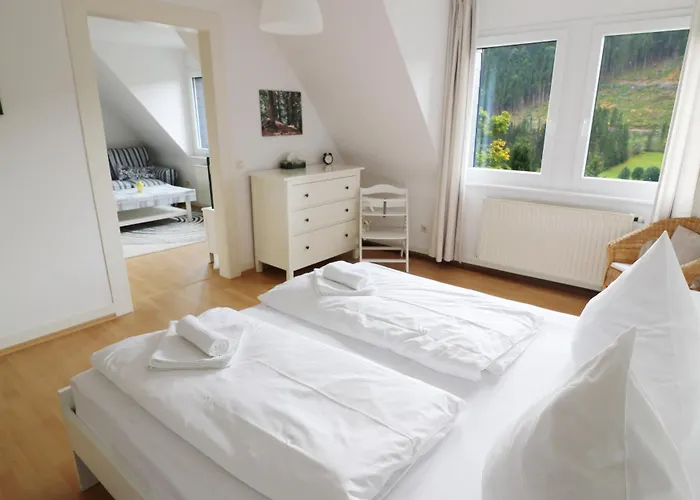 公寓 Im Haus Rhea Am Suedhang- Feldberg- Falkau *