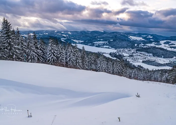 Im Haus Rhea Am Suedhang- Feldberg- Falkau 公寓 *