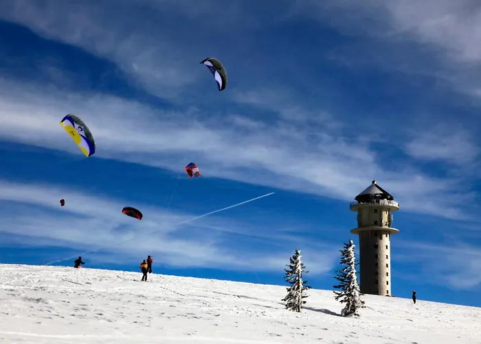 Im Haus Rhea Am Suedhang- Feldberg- Falkau * 费尔德伯格
