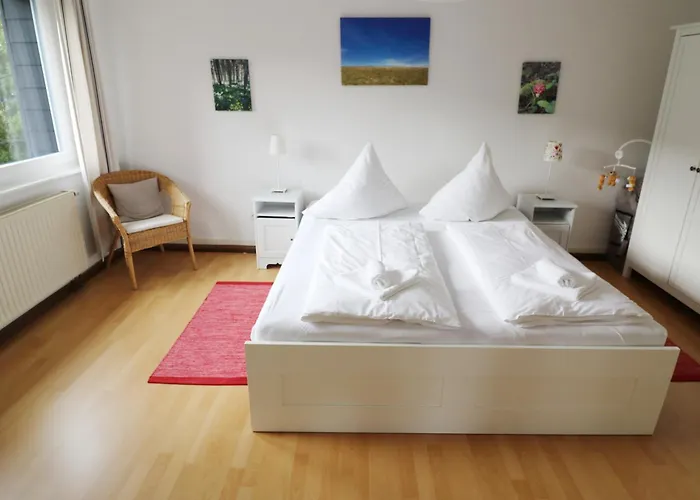 Im Haus Rhea Am Suedhang- Feldberg- Falkau 公寓 费尔德伯格