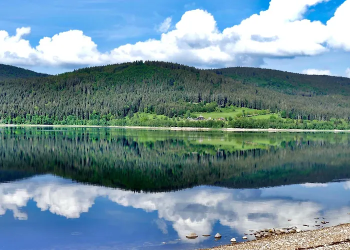 公寓 Im Haus Rhea Am Suedhang- Feldberg- Falkau *