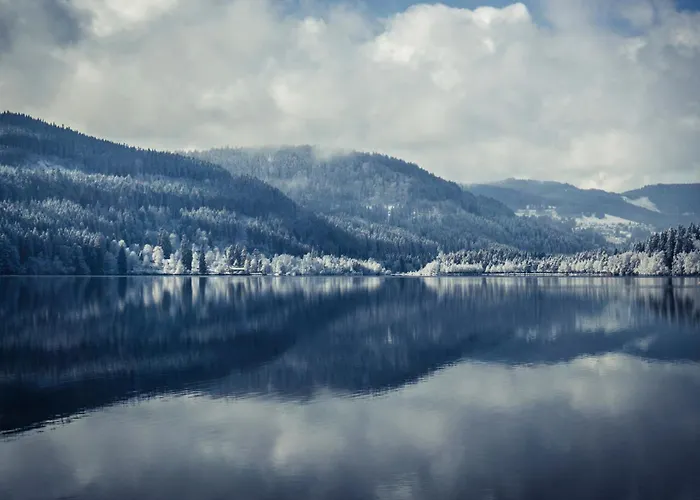 Im Haus Rhea Am Suedhang- Feldberg- Falkau