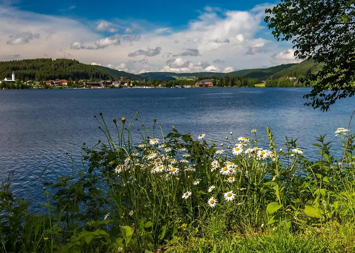 公寓 Im Haus Rhea Am Suedhang- Feldberg- Falkau 费尔德伯格