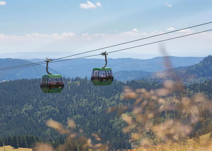 Im Haus Rhea Am Suedhang- Feldberg- Falkau * 费尔德伯格