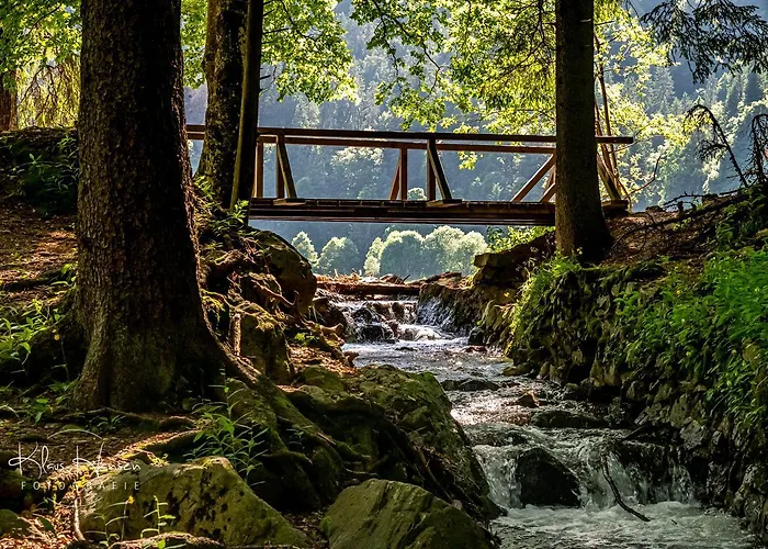 Im Haus Rhea Am Suedhang- Feldberg- Falkau 公寓 *
