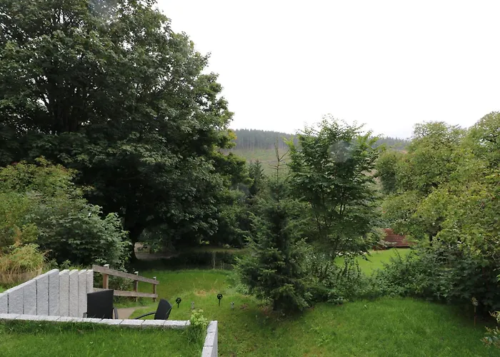 Im Haus Rhea Am Suedhang- Feldberg- Falkau 公寓 费尔德伯格