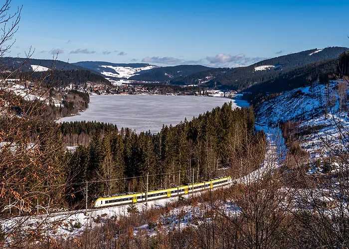 Im Haus Rhea Am Suedhang- Feldberg- Falkau 公寓 *