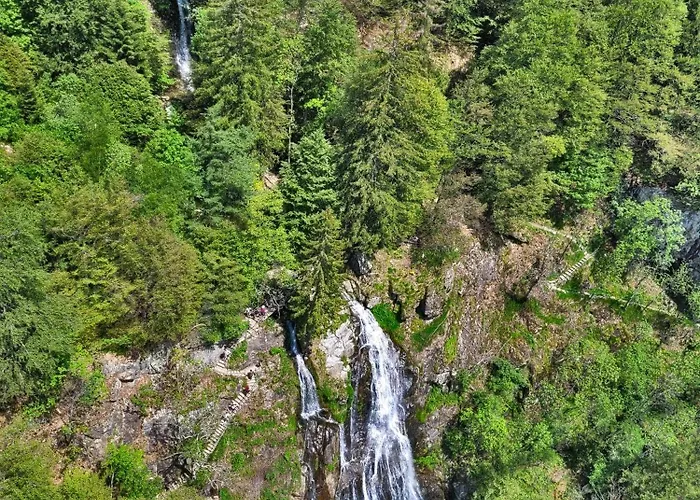 Im Haus Rhea Am Suedhang- Feldberg- Falkau 公寓